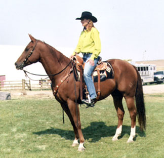 1999 Sorrel Gelding