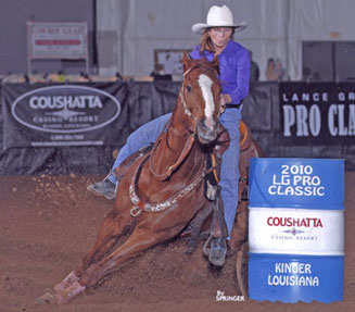2006 Sorrel Gelding by Dash Ta Fame