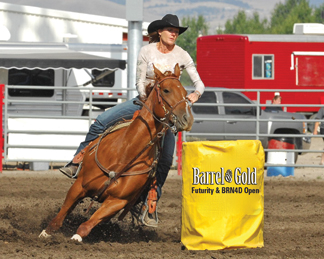 2004 Sorrel Mare by Red TB